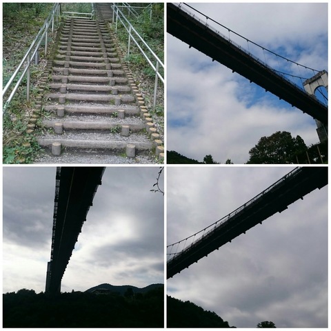 PhotoGrid_戸川公園 (5).jpg