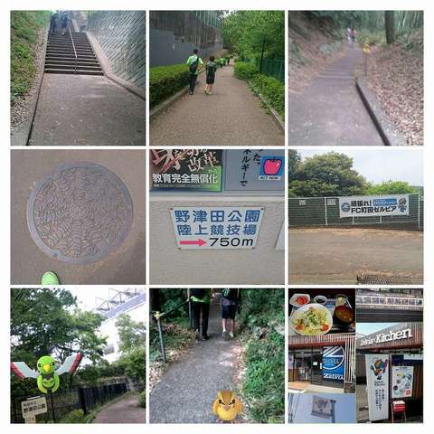 PhotoGrid_野津田登山-COLLAGE (1).jpg