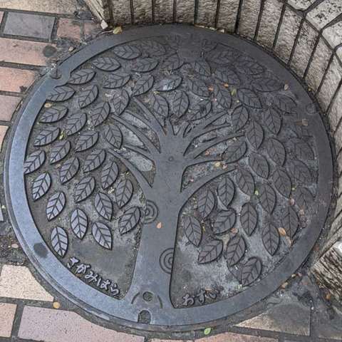 Polish_20200810_194540526.jpg