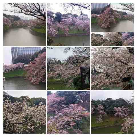 Polish_20220403_172119859-COLLAGE.jpg