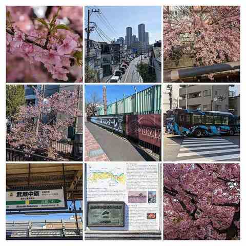 Polish_20230304_152140354-COLLAGE.jpg