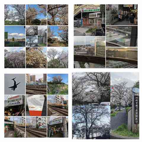 Polish_20230330_162754373-COLLAGE.jpg