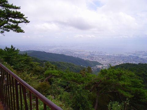 RIMG0205.jpg