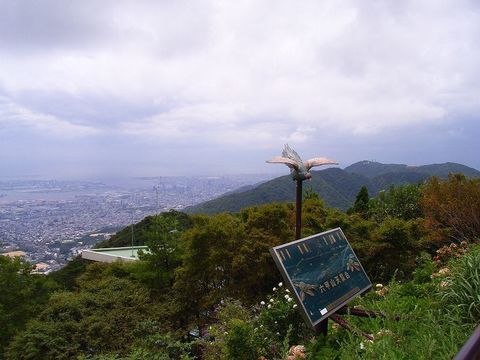 RIMG0208.jpg