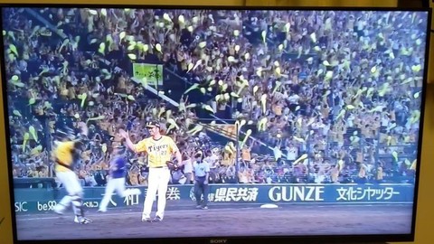 Twitter_20190801_220648.jpg